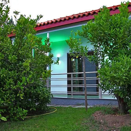 Dimos * PalaiónTsiflíkion