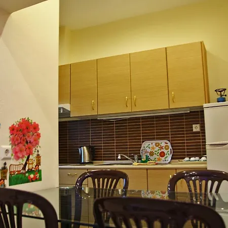 Dimos Σπίτι διακοπών PalaiónTsiflíkion