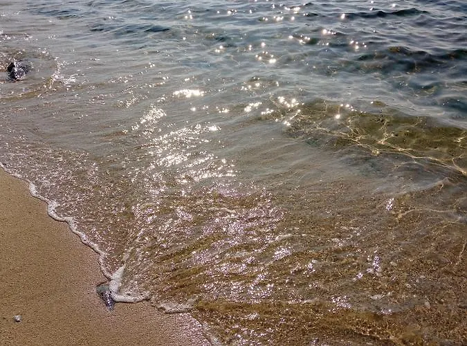 Dimos *