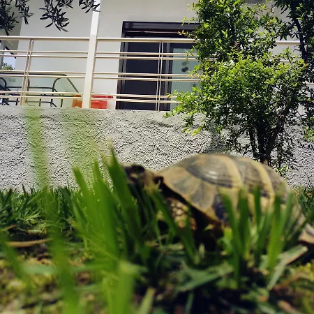 Casa de Férias Dimos
