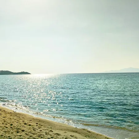 Dimos * Palaiontsiflikion