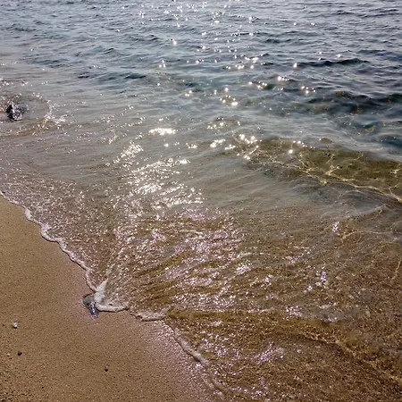 Dimos *