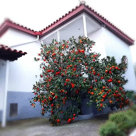 Dimos Holiday home