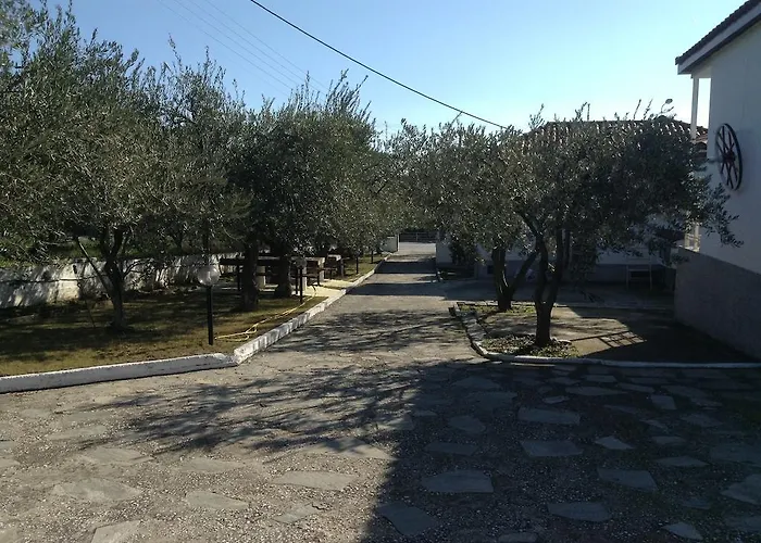 Dimos PalaiónTsiflíkion